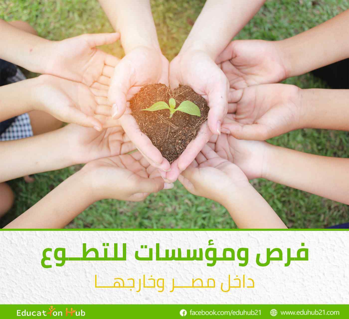 مؤسسات تطوع داخل مصر وخارجها وعبرالإنترنت2022