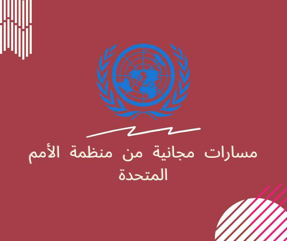تدريبات مجانية من منظمة الأمم المتحدة | منح Education Hub