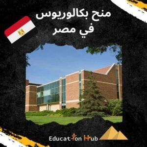 منح بكالوريوس في مصر  2022-2023 |  Education Hub