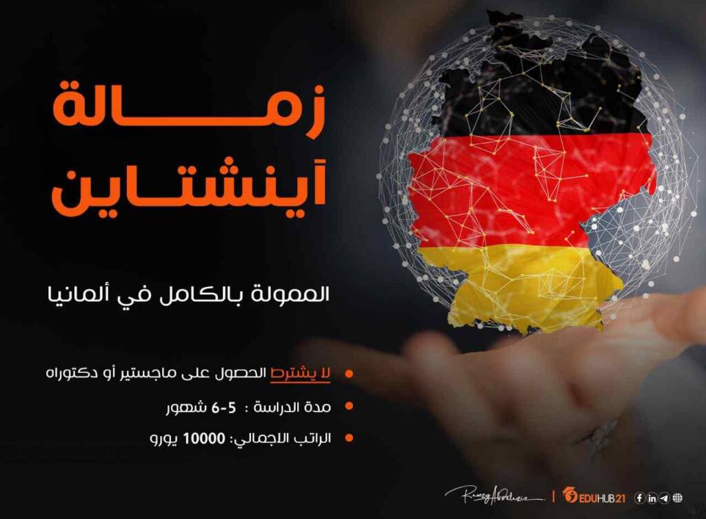 زمالة اينشتاين 2023