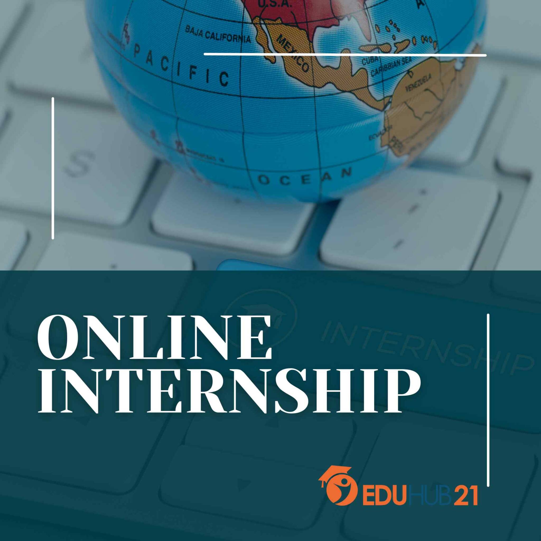 Remote internship with a salary Eduhub21