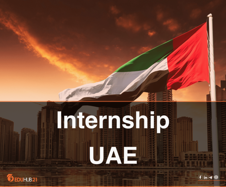 UAE internship 2023