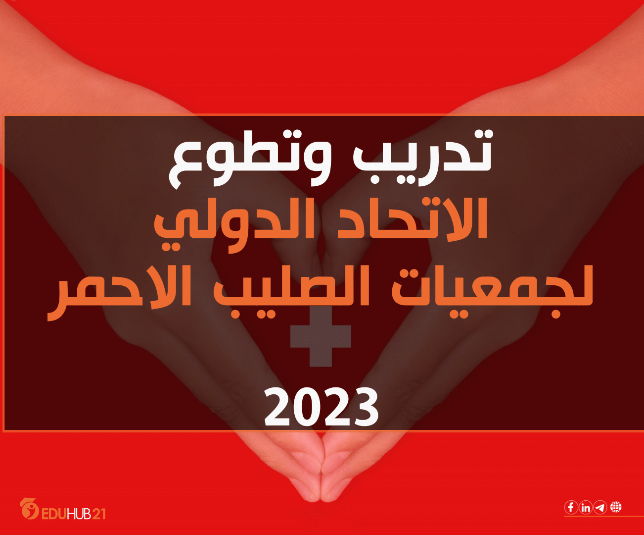 تدريب وتطوع في مؤسسة دولية