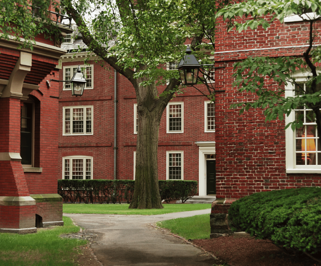 Harvard scholarship for international students 2024
