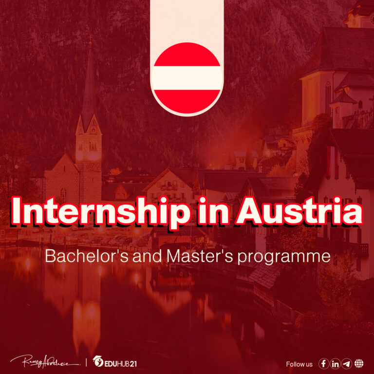 Vienna summer internship