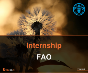 FAO Young Talent Internship | Best internship