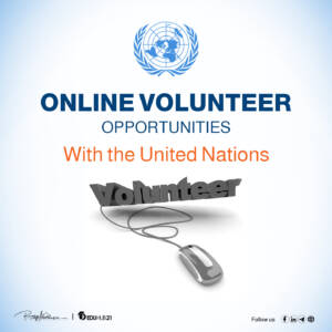 UN Online Volunteer 2024