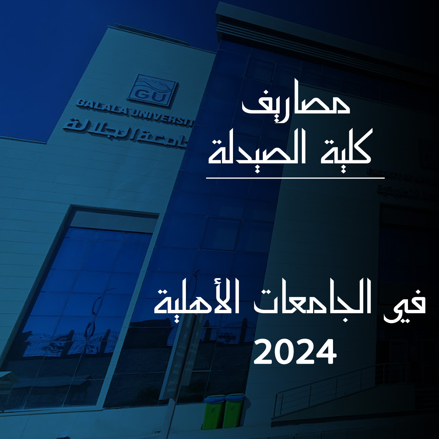 مصاريف الجامعات 2024