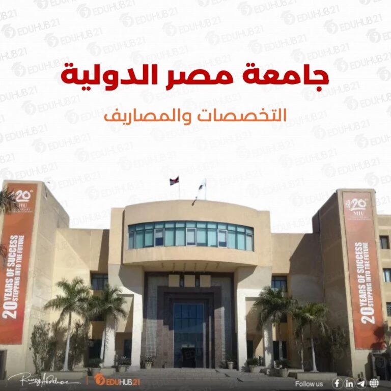 جامعة مصر الدولية