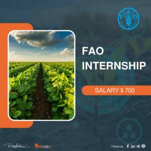 FAO Internship Programme for Africa (RAF)