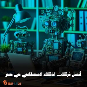 شركات الذكاء الاصطناعي في مصر
