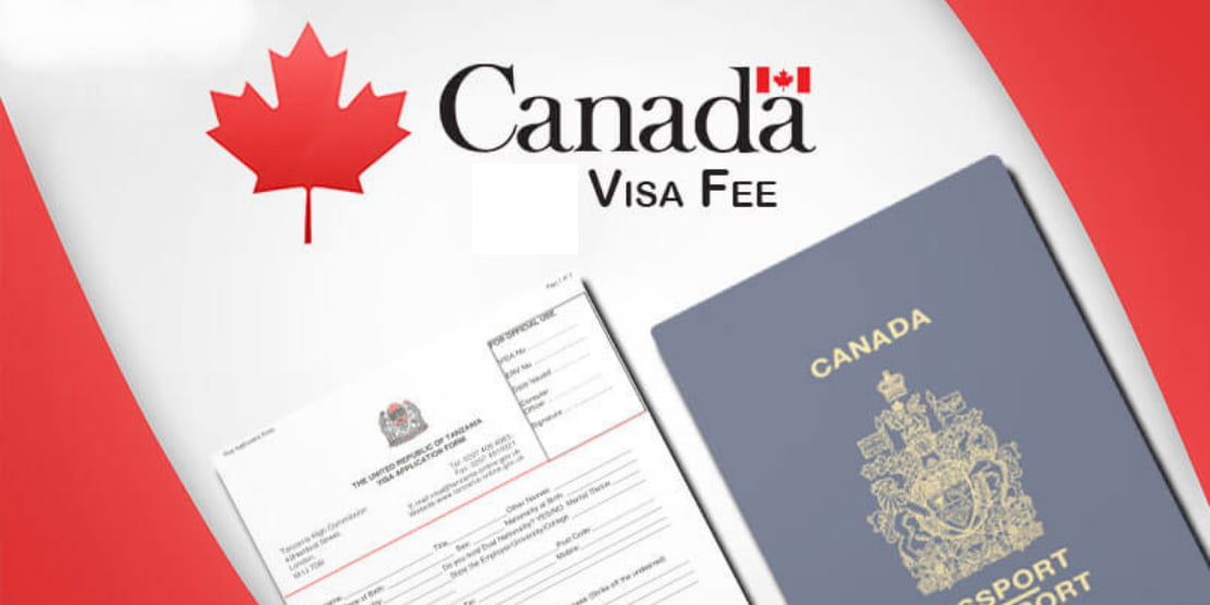 تقديم طلب لجوء انساني إلى كندا عبر الانترنت