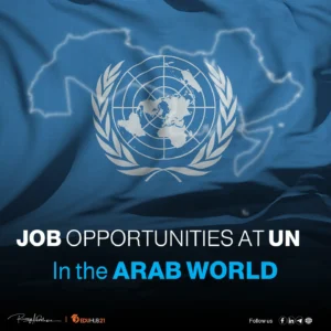 Job opportunities at the UN organization in 2024