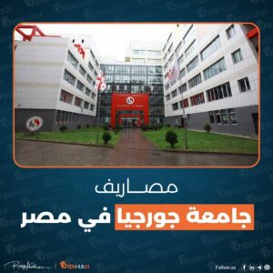 مصاريف جامعة جورجيا في مصر كلية التجارة