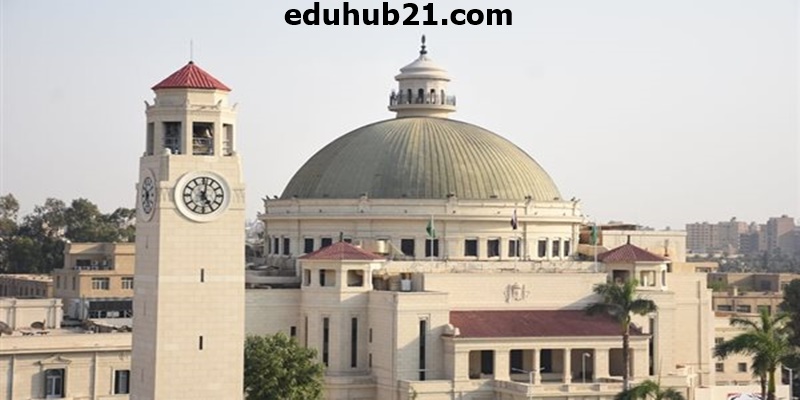 ما هو برنامج جورجيا في جامعة القاهرة