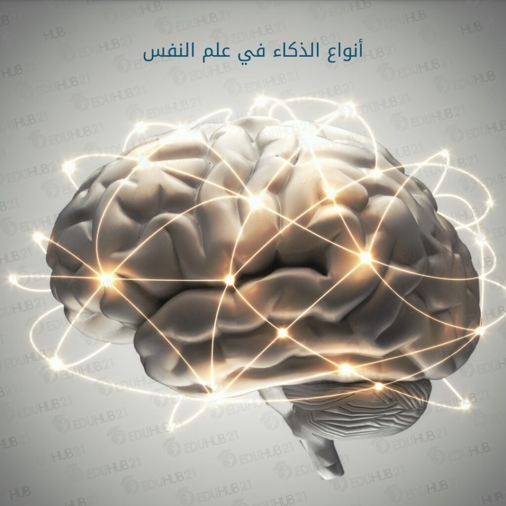 أنواع الذكاء في علم النفس