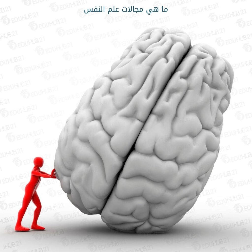 ما هي مجالات علم النفس