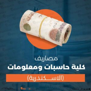 مصاريف كلية حاسبات ومعلومات إسكندرية