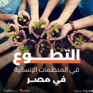 التطوع في المنظمات الإنسانية في مصر