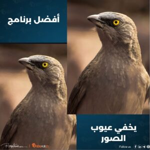 أفضل برنامج يخفي عيوب الصور | في خطوة واحدة