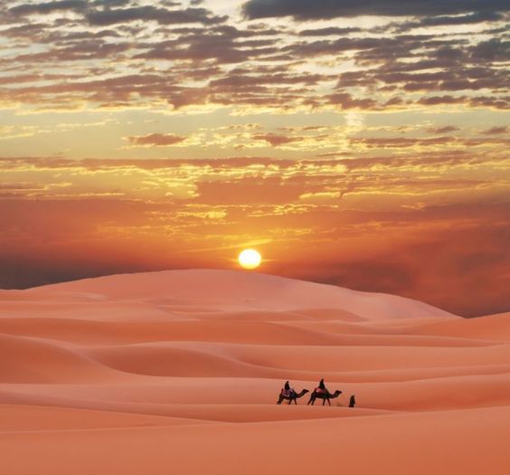 قمة التغيير العالمي في المغرب | فرصة سفر ممولة بالكامل