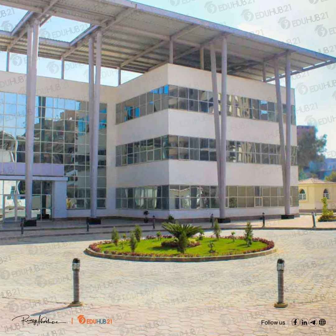 تخصصات الجامعة الصينية