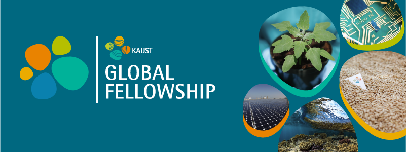 KAUST Postdoctoral Fellowship Program 2025