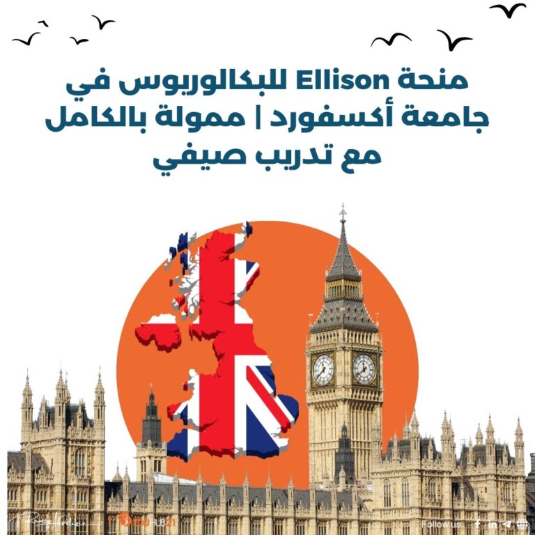 Ellison Undergraduate Scholars Program in UK 2026 | Fully Funded